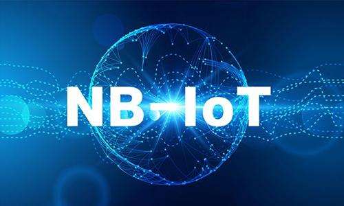 Private Narrowband IoT