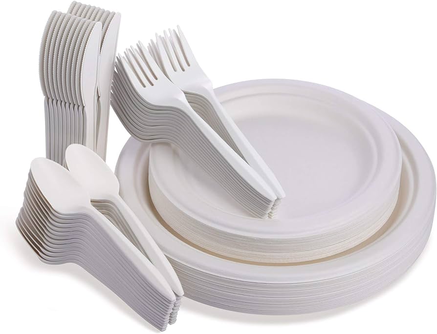 Biodegradable Disposable Plastic Tableware