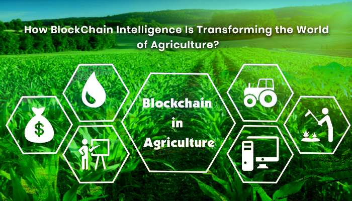 Agriculture and Food Blockchain