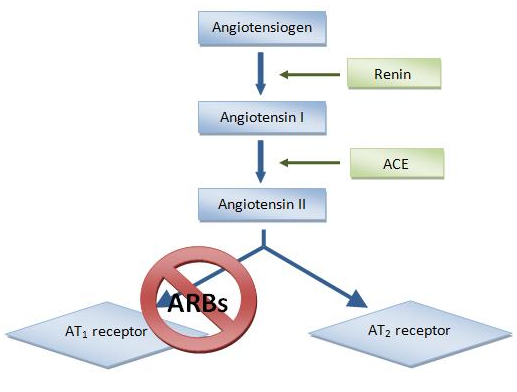 Angiotensin II Receptor Blocker