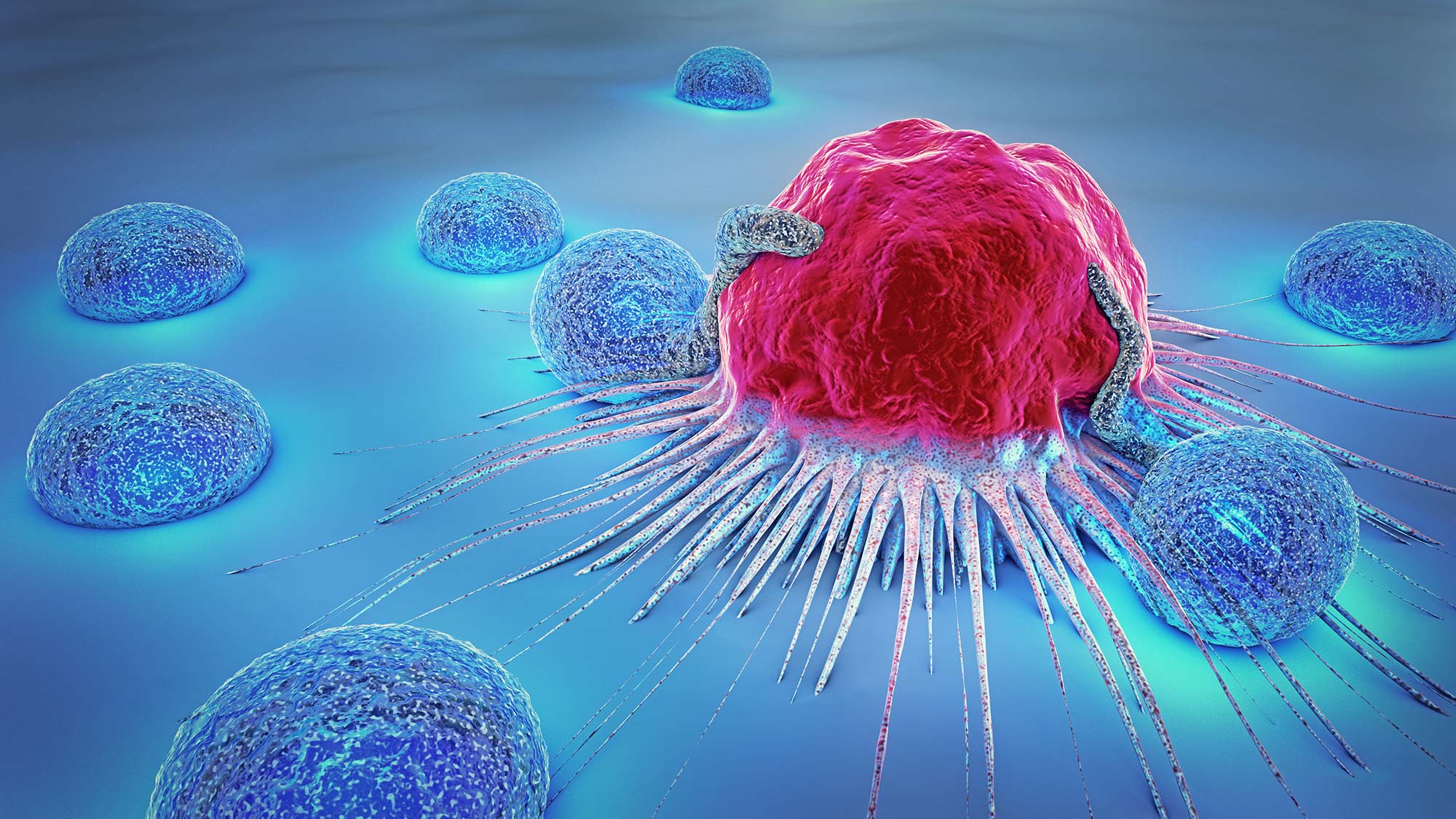 CAR-T Cell Immunotherapies for Cancer