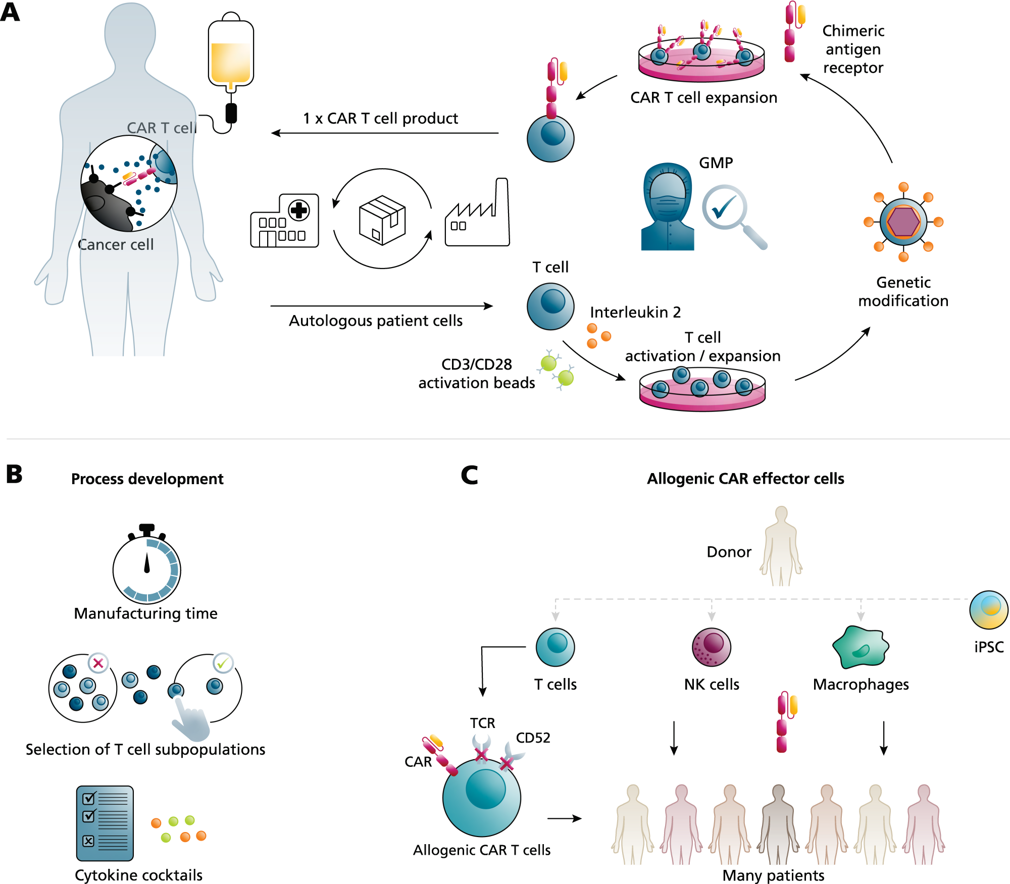 CAR-T Cell Therapy Solution