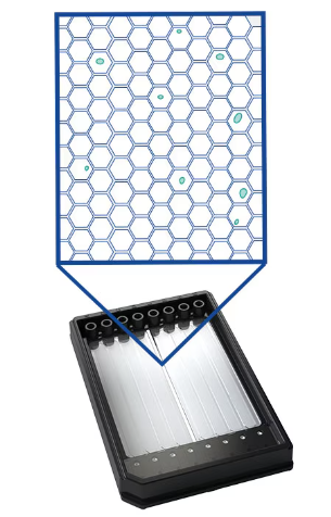 Single Cell Analysis Instruments