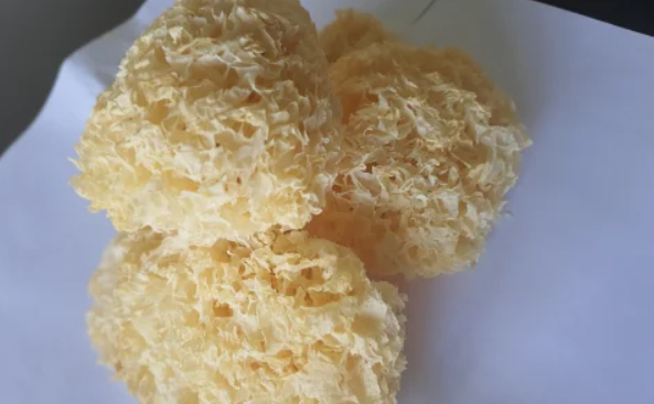 Freeze Dried Tremella