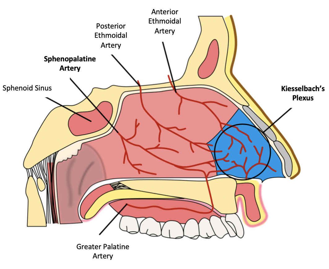 Epistaxis Drugs