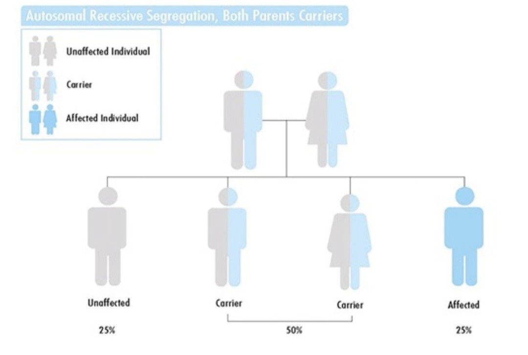 Expanded Carrier Screening