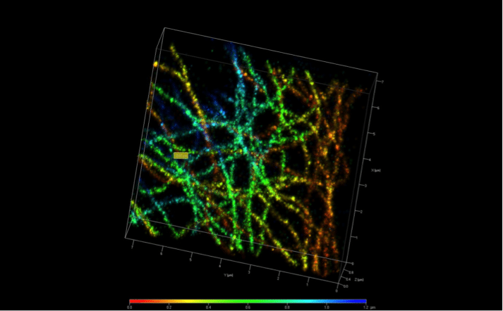 Photoactivated Localization Microscopy