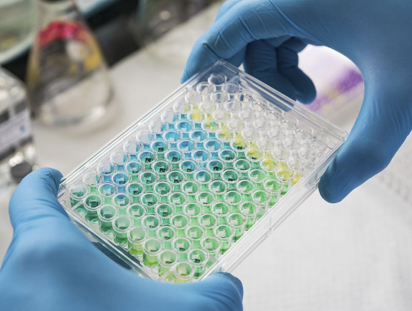 Genotoxicity Tests