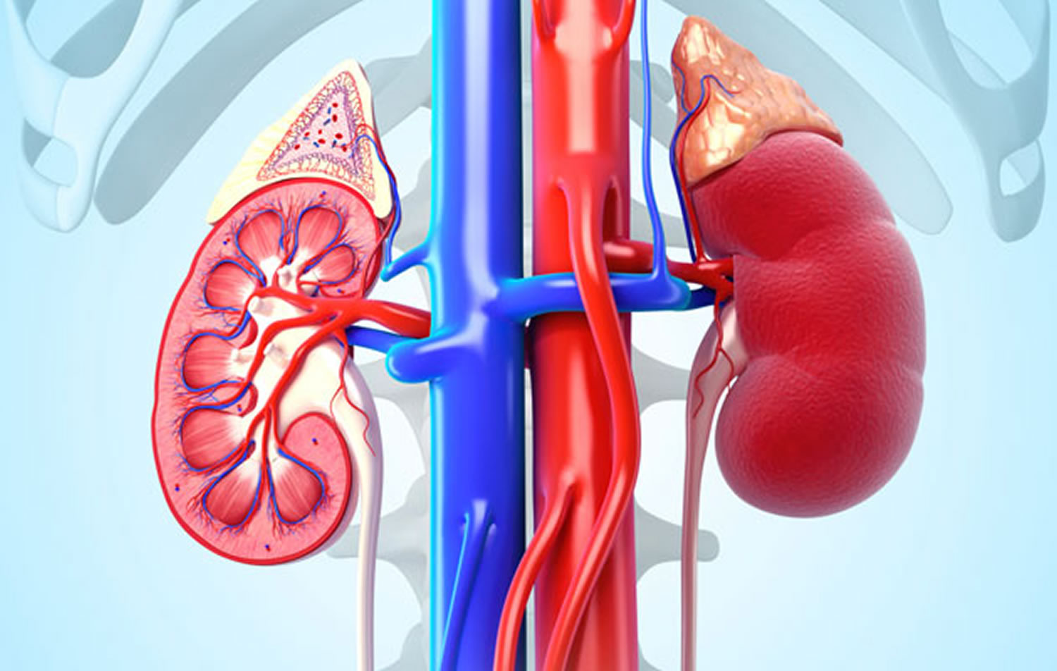 Glomerulonephritis Treatment