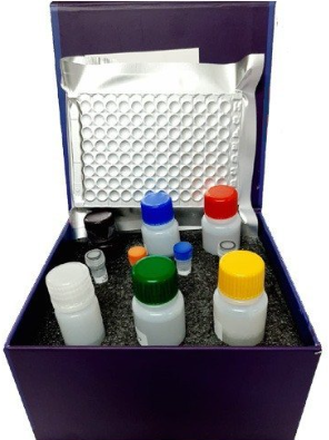 Glycolysis Assay Kit