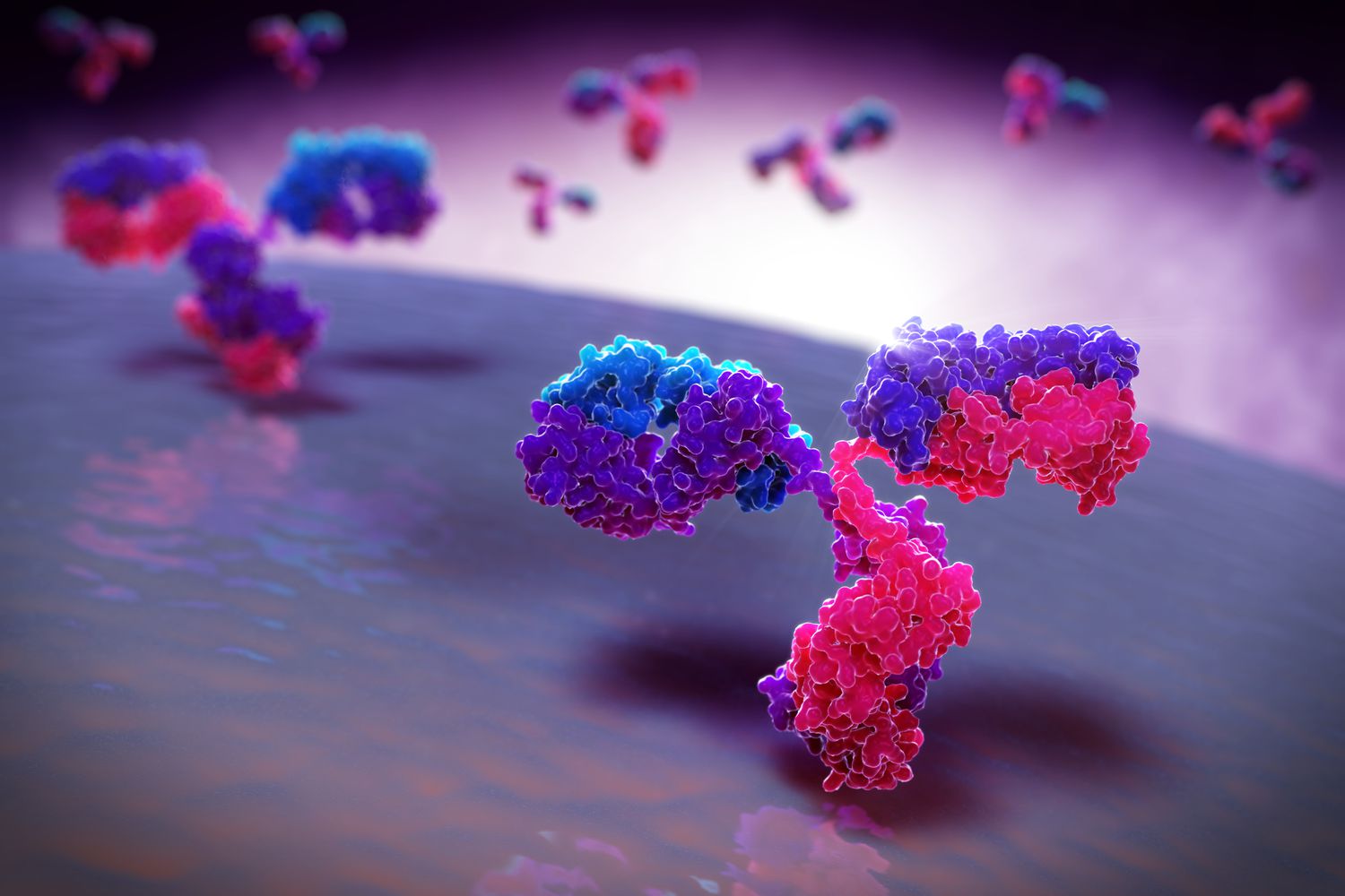 Glycoprotein Analysis