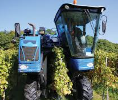 Grape Harvesting Machine