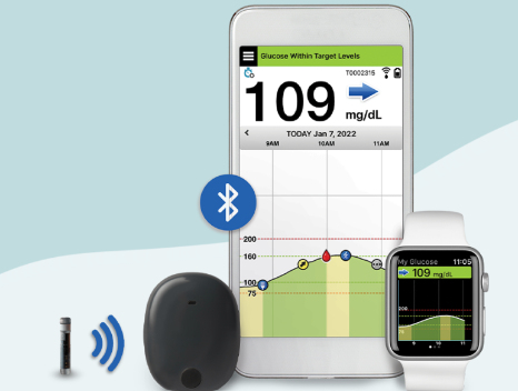 Implantable Continuous Glucose Monitoring System