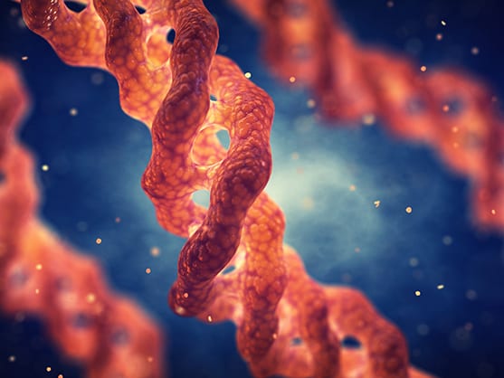 Mammalian Protein Expression