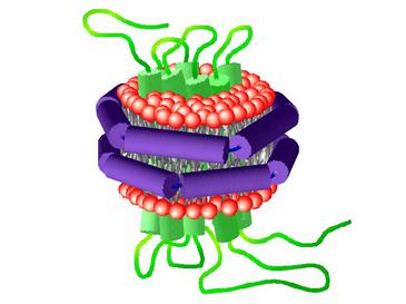 Lipid Nanodiscs