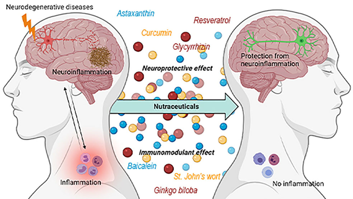 Neurodegenerative Disease Treatment Drug