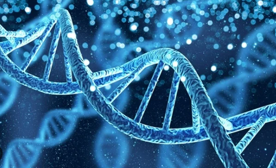 Nucleic Acid Biological Research Reagents