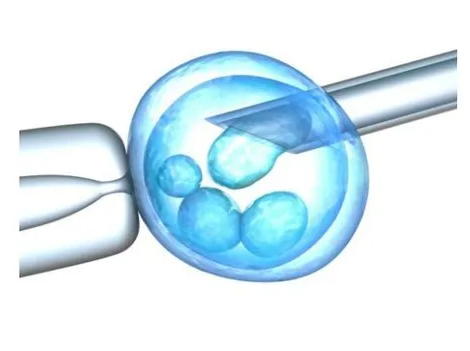 Oocyte Vitrification Solutions