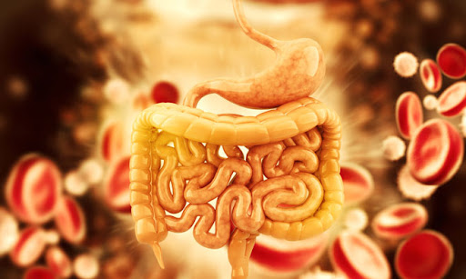 Peptide Based Gastrointestinal Disorders Therapeutics