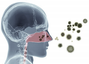 Hay Fever and Allergic Rhinitis Therapeutics