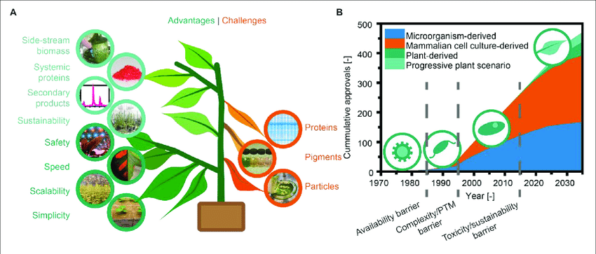 Plant-based Biologic and Expression