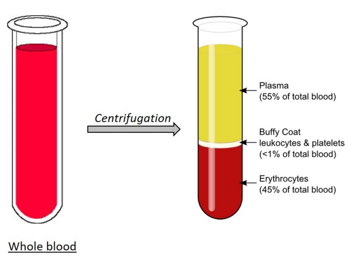 Plasma Assays