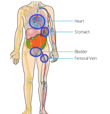 Postmortem Toxicology Testing