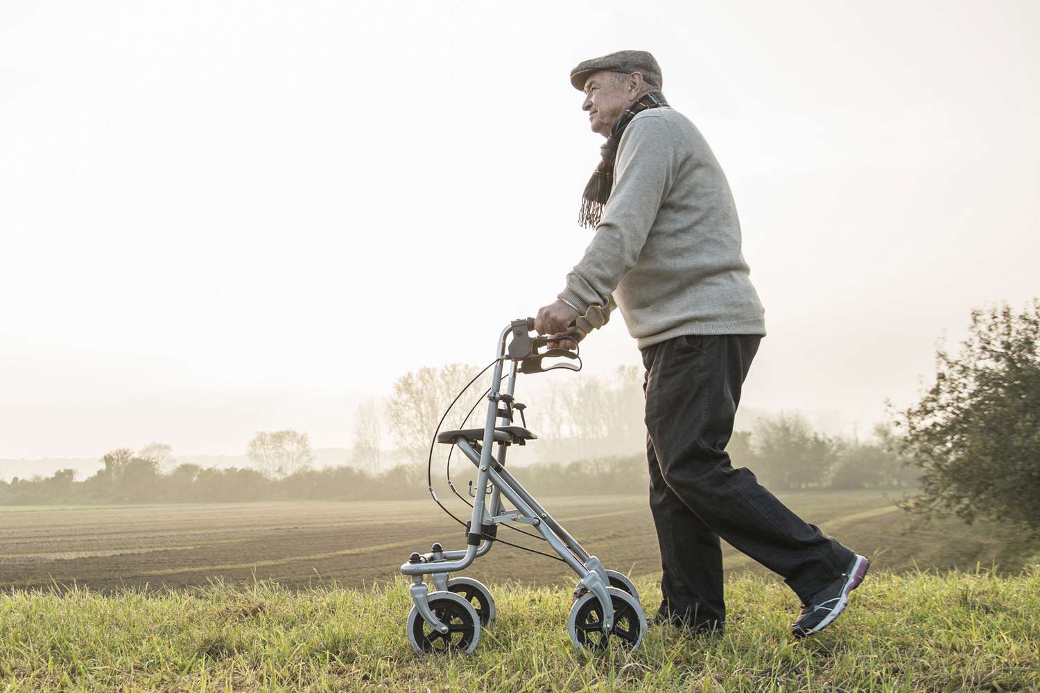 Walkers and Rollators