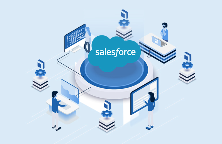 Salesforce Consulting and Development Service