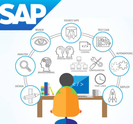 Sap Development Service Market