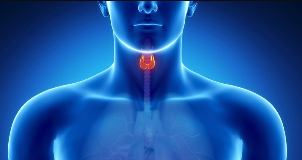 Silent Thyroiditis