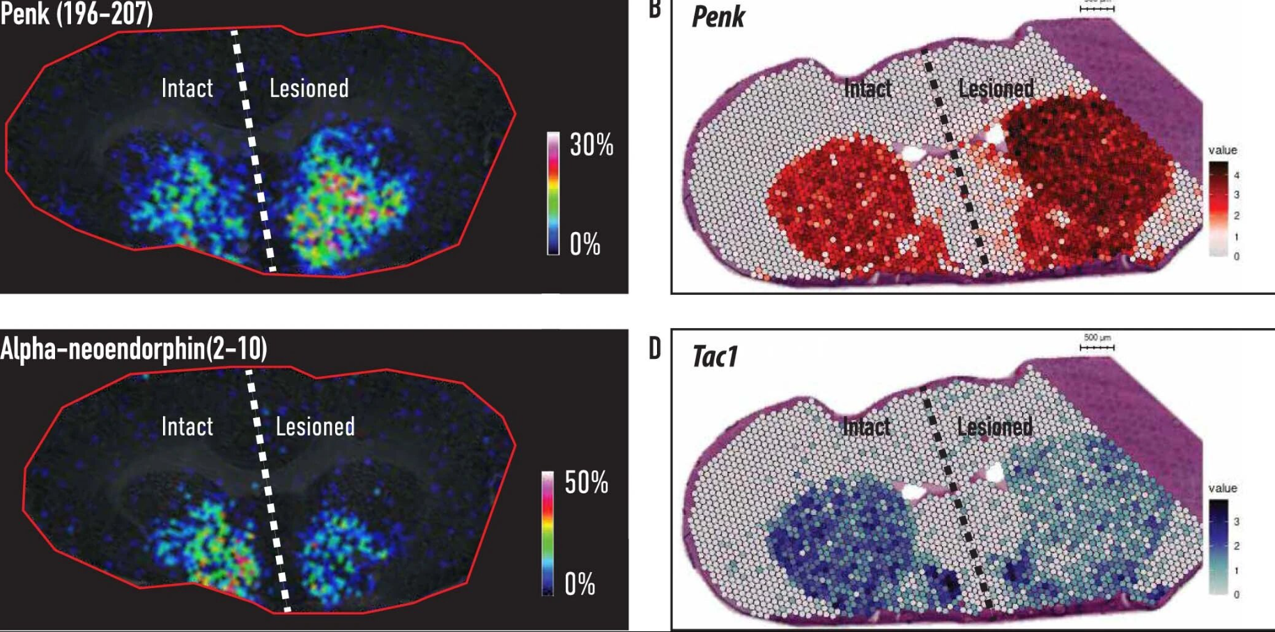 Spatial Omics