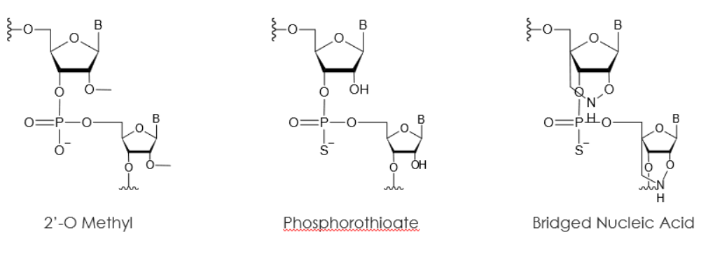 Synthetic Oligonucleotides