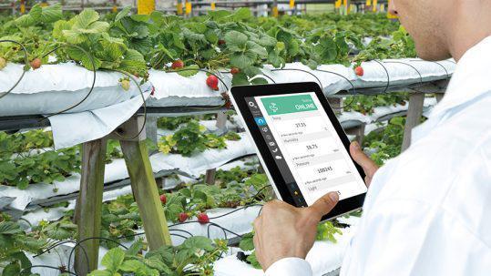 Testing, Inspection, and Certification TIC for Agriculture