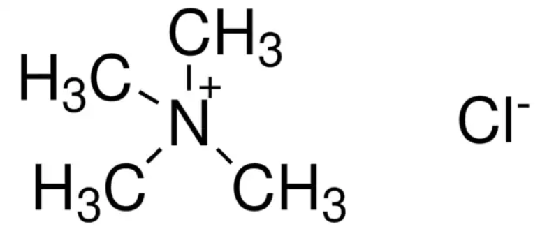 Tetramethylammonium Chloride Market