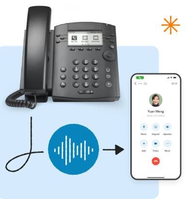 VoIP Telephony