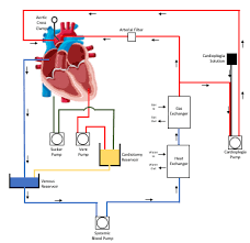 Paediatric Cardioplegia Circuit System