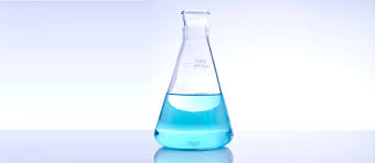 Erlenmeyer Shake Flask