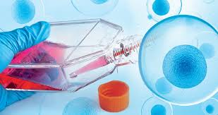 Fermentation and Cell Culture Services