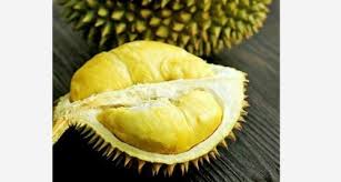 Frozen Durian