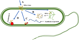 Ion Antibacterial Agent