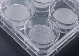 3D Cell Culture Plate