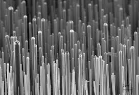 Silicon Nanowires