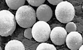 Unexpanded Microspheres