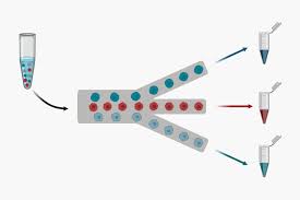 Microfluidic Cell Sorting