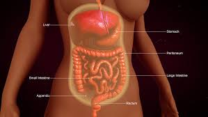 Primary Peritoneal Cancer Therapeutics