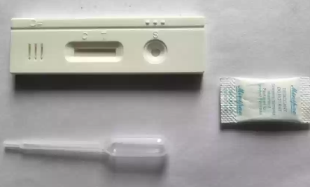 Animal Pregnancy Test Kits