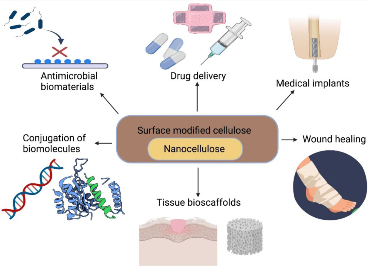 Biomaterials