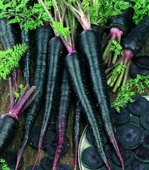 Black Carrots