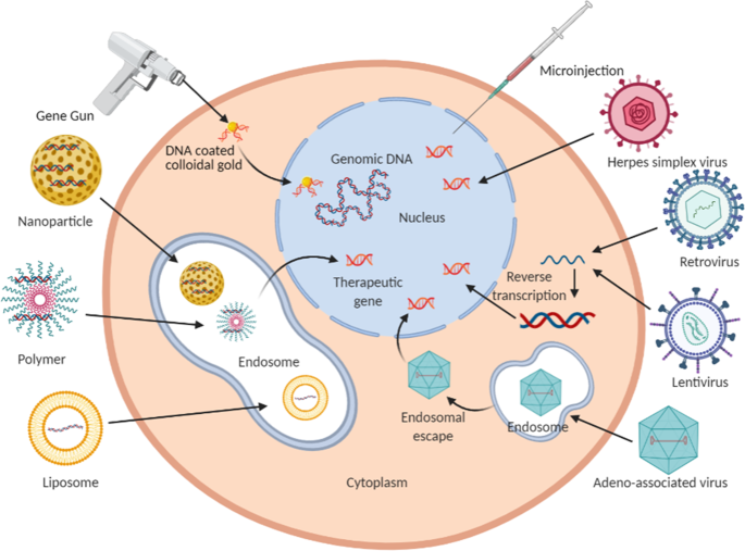 Cancer Gene Therapy